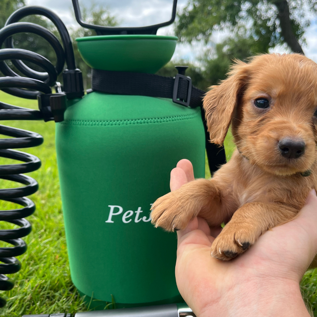 PetJet 5 Liter Portable Tank Shower