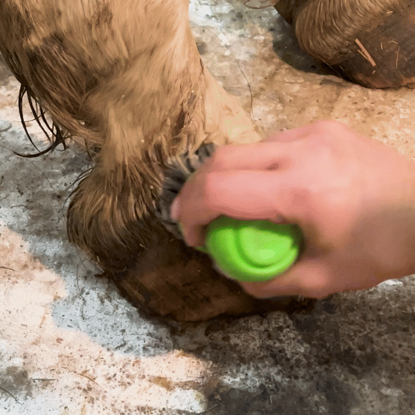 Hoof & Paw Jet Brush Cleaner
