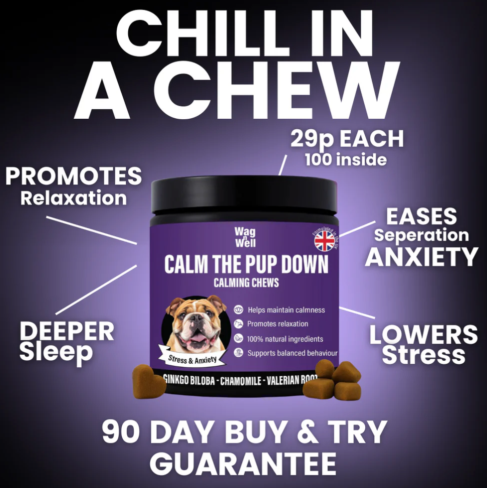 PetJet x WagnWell: Calm The Pup Down - 100 Calming Chews Treats