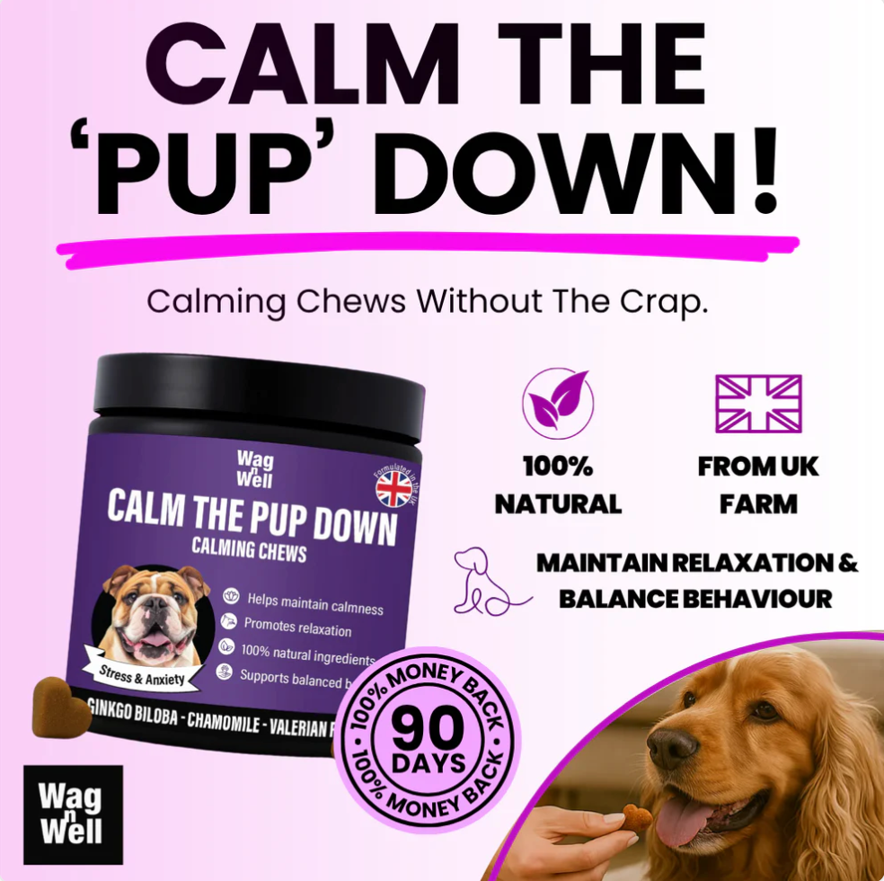 PetJet x WagnWell: Calm The Pup Down - 100 Calming Chews Treats