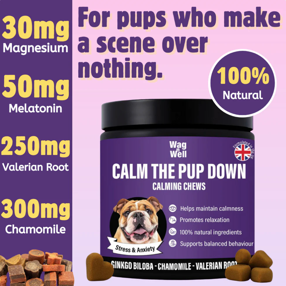 PetJet x WagnWell: Calm The Pup Down - 100 Calming Chews Treats