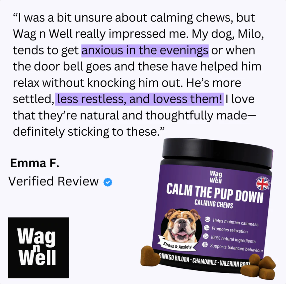 PetJet x WagnWell: Calm The Pup Down - 100 Calming Chews Treats