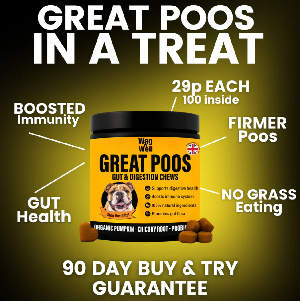 PetJet x WagnWell: Great Poos - 100 Gut & Digestion Chew Treats