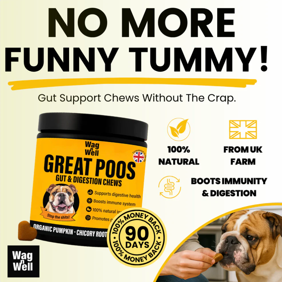 PetJet x WagnWell: Great Poos - 100 Gut & Digestion Chew Treats