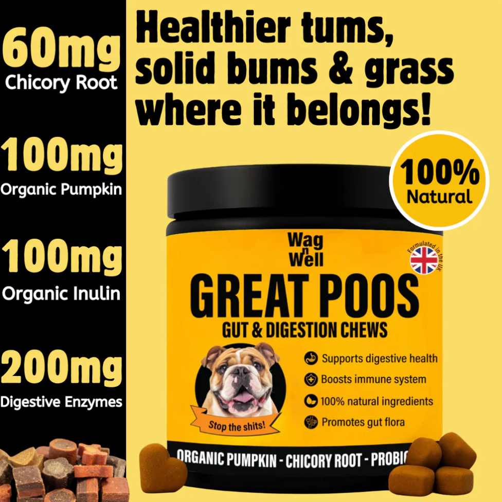 PetJet x WagnWell: Great Poos - 100 Gut & Digestion Chew Treats