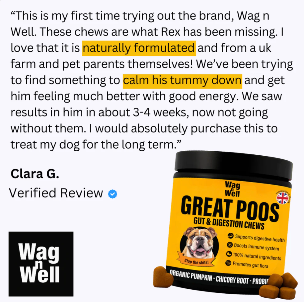 PetJet x WagnWell: Great Poos - 100 Gut & Digestion Chew Treats