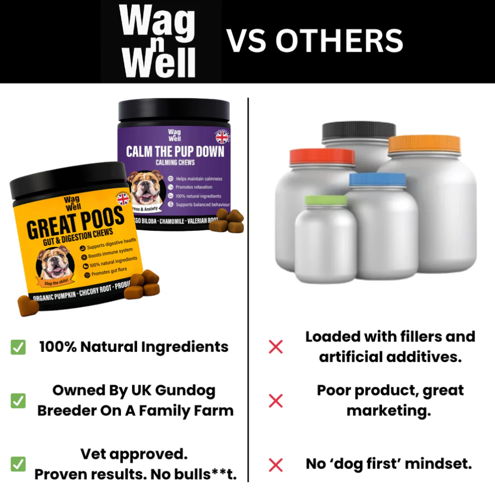 PetJet x WagnWell: Great Poos - 100 Gut & Digestion Chew Treats