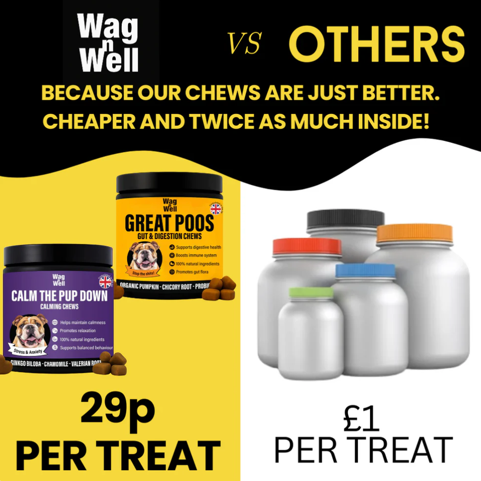 PetJet x WagnWell: Great Poos - 100 Gut & Digestion Chew Treats