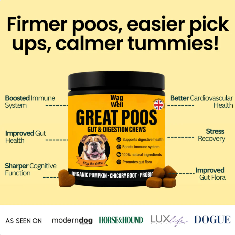 PetJet x WagnWell: Great Poos - 100 Gut & Digestion Chew Treats