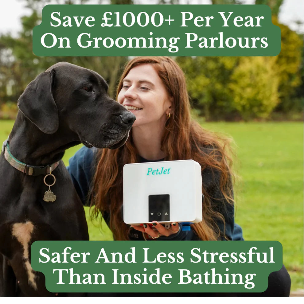 Ex Demo - PetJet Shower Mini - 3kw Plug In