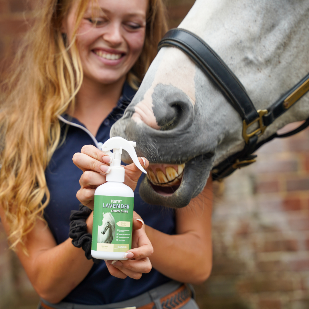 Show Shine Spray For Horses & Dogs | Lavender | 250ml