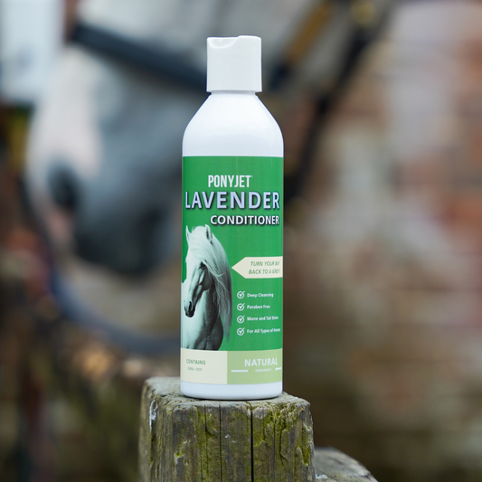 2 in 1 Shampoo & Conditioner For Dogs & Horses | Lavender Scented | 250ML