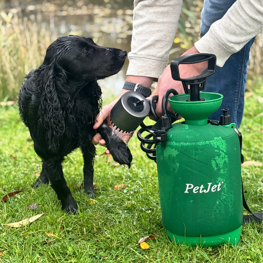 Mud Daddy vs Pet Jet — Honest Comparison 2025