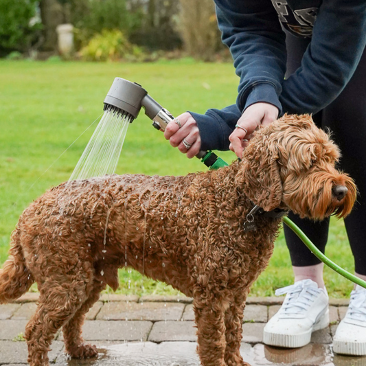 Portable Dog Shower for Muddy Dogs — Buying Guide 2025