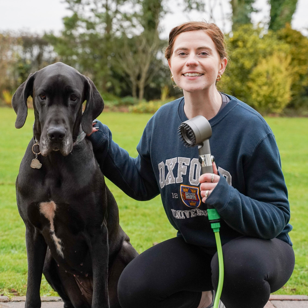 I bought from PetJet - Is It Worth It? Dog Mum - HONEST Customer Review