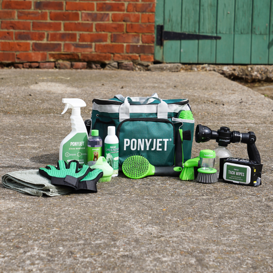 "Took the chance so you don't have to..." PonyJet HONEST Customer Review