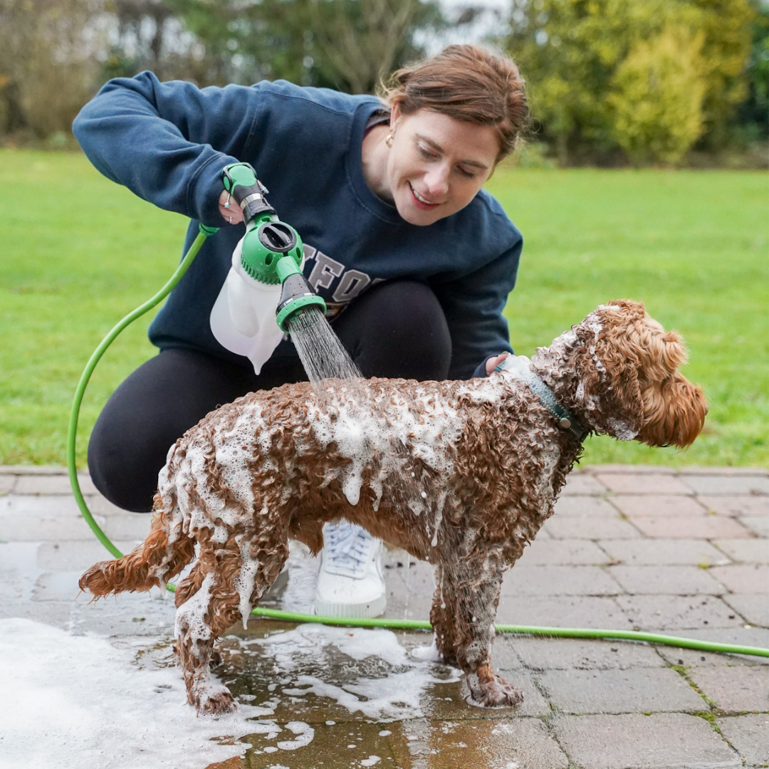 Dog Bathing