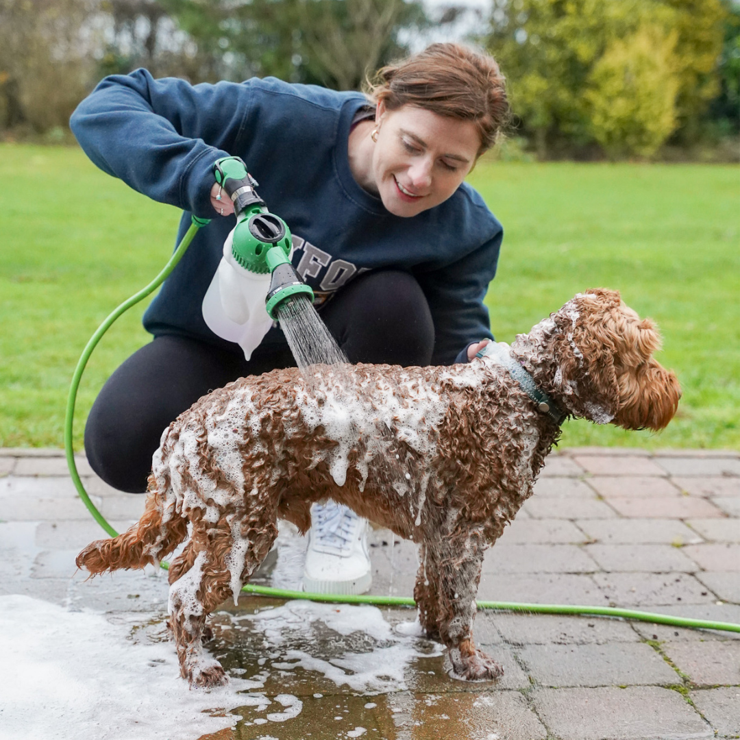 Dog Grooming