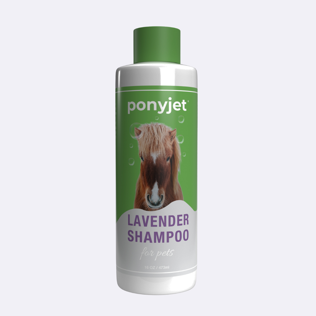 Sensitive Shampoo For Horses & Dogs