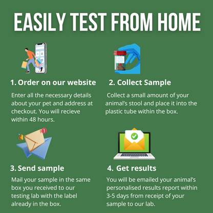 Animal Intolerance Sensitivity Test