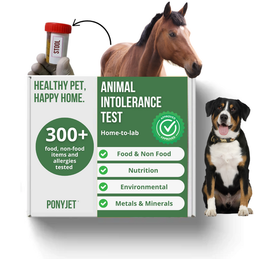 Animal Intolerance Sensitivity Test