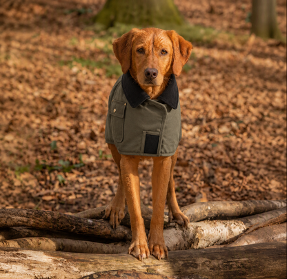 Waterproof Country Dog Coat - Olive Green