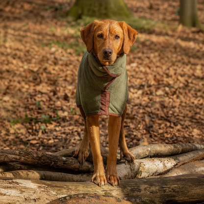Tragbares Hundebadetuch zum Trocknen – Waldgrün/Orange