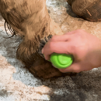 Hoof & Paw Jet Brush Cleaner
