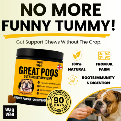 PetJet x WagnWell: Great Poos - 100 Gut & Digestion Chew Treats