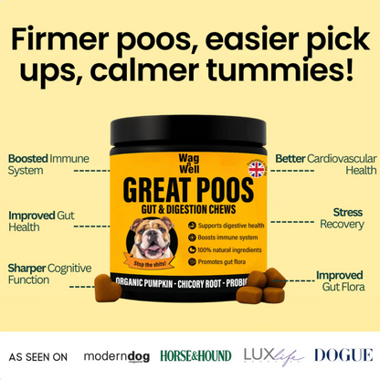 PetJet x WagnWell: Great Poos - 100 Gut & Digestion Chew Treats