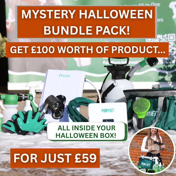 Halloween Mystery Bundle Pack