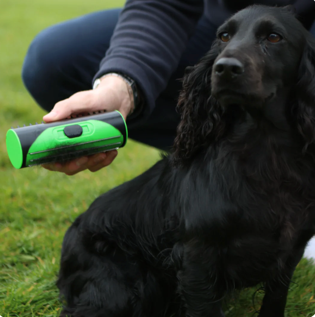 PetJet Drying Bundle