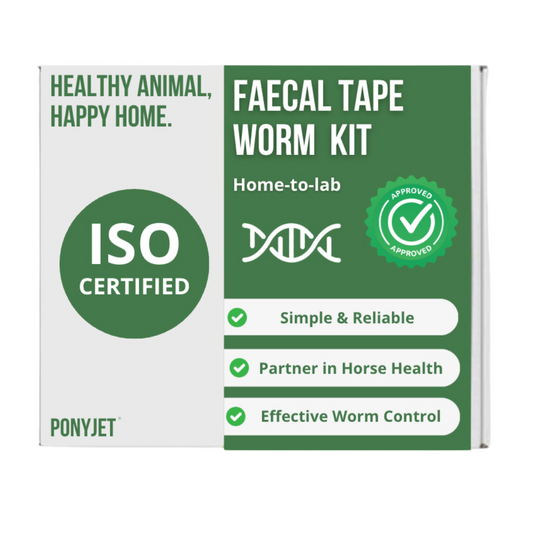 Horse Faecal Tapeworm Test