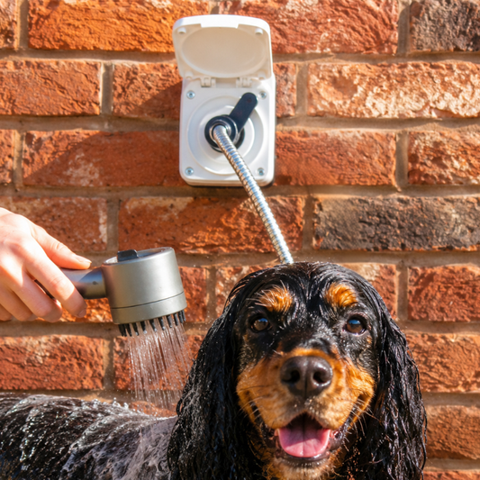 PetJet Outdoor Home Wall Hot Shower