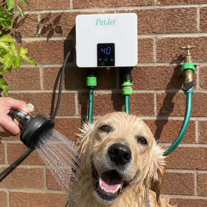 Plug In Warm Shower Mini Kit