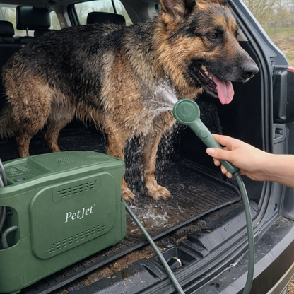 PetJet Portable GasMini