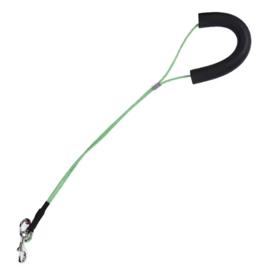 Outdoor Dog Lead & Wall Mount
