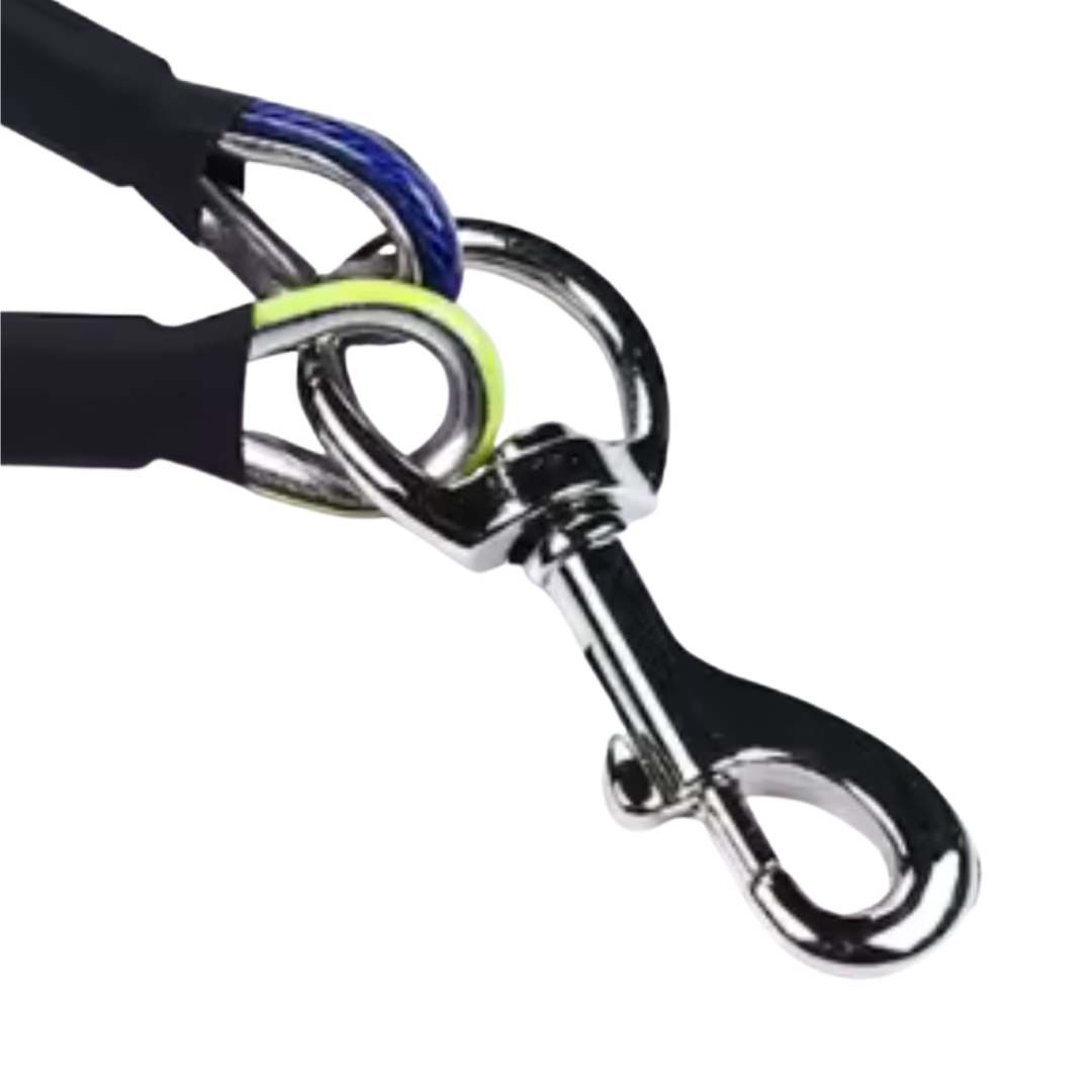 Outdoor Dog Lead & Wall Mount