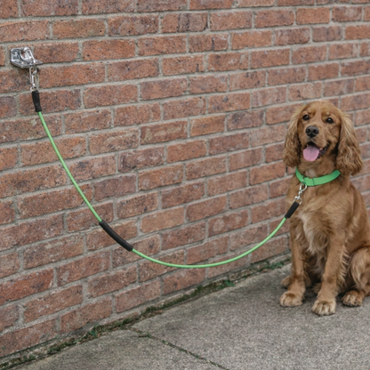 Outdoor Dog Lead & Wall Mount