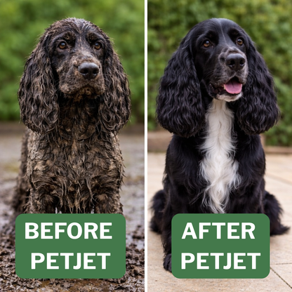 PetJet Spray Bundle