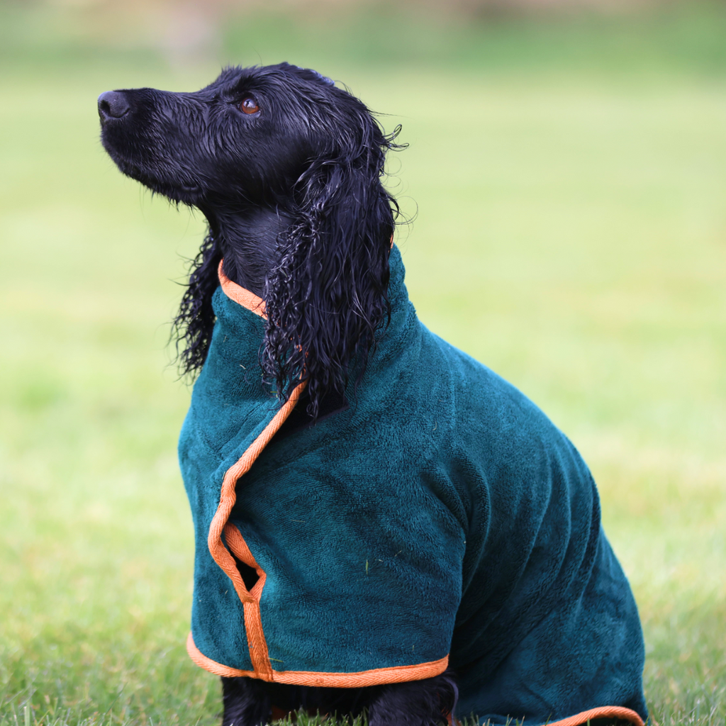 Wearable Dog Bath Drying Towel - Forest Green/Orange