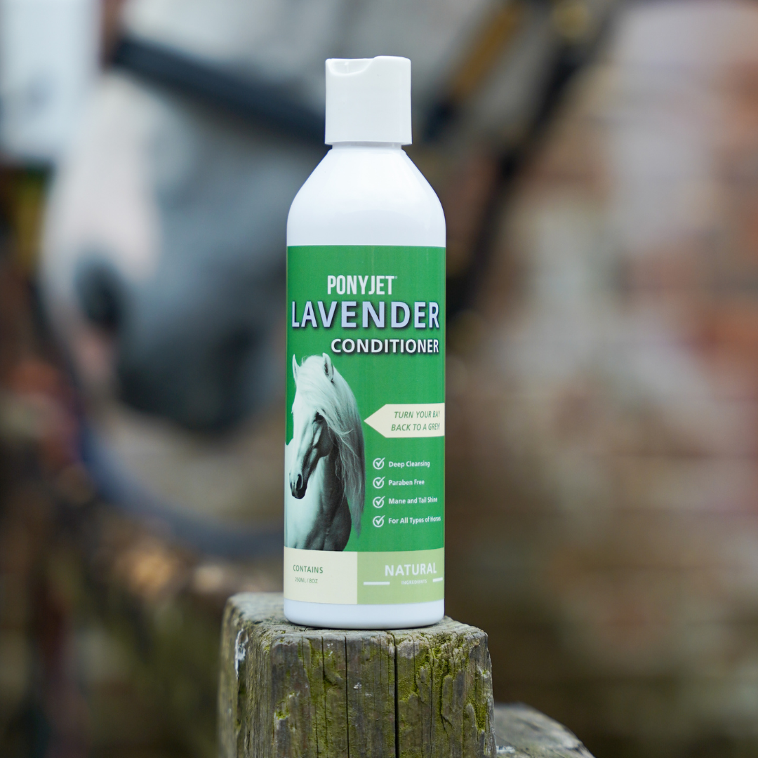 Conditioning Shampoo For Dogs & Horses