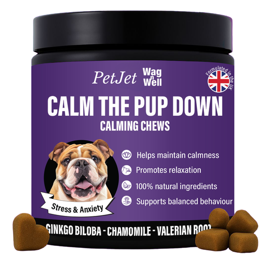 PetJet x WagnWell: Calm The Pup Down - 100 Calming Chews Treats